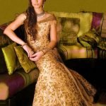 Brown Color Gown