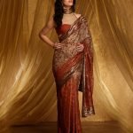 Shimmer georgette saree in Red Ochre