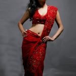 Red Color wedding Sari (wedding sari -WS -80)