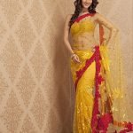 Net Saree with thick embroidery border and jaal