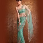Net saree with cut work border