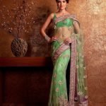 Net saree with embroidered border