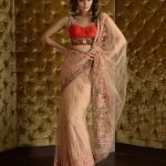 Pink Color Net Sari