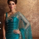 Embroidered Net Saree with Paisley border