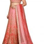 Pink and red embroidered lehenga set