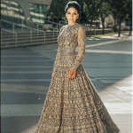 Beige Black Color Embroidered Gown
