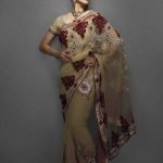 Gold Net Sari with Velvet Motifs
