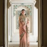 Pale Pink Embroidered Saree
