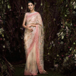 Ivory Color Embroidered Sari