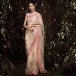 Beige Color Party Wear Sari