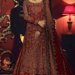 Red cutwork jamawar lehenga