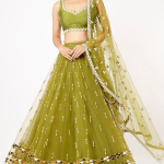 Olive Embroidered Lehenga Set