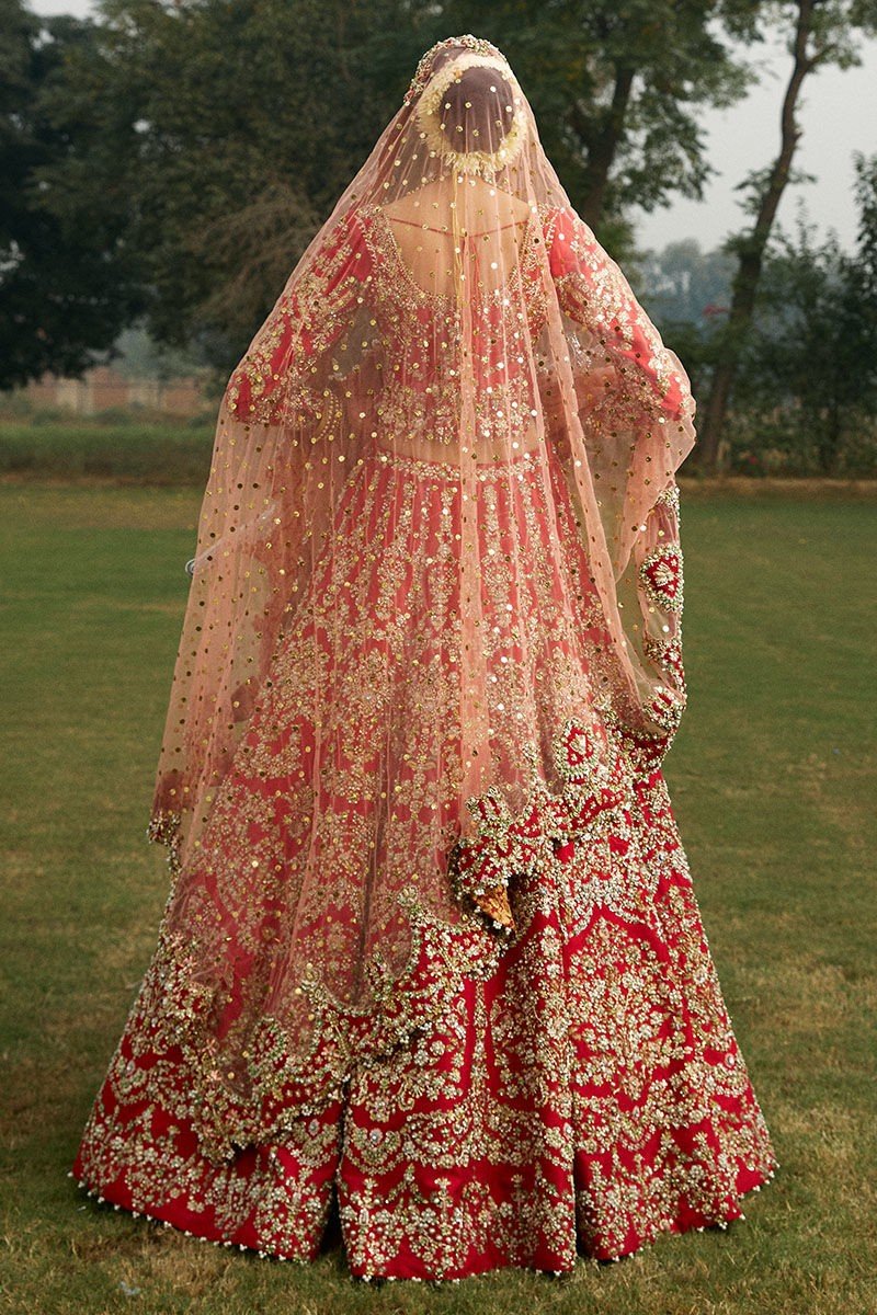 LAALI - Image 3