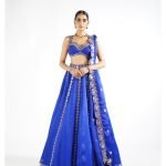 Royal Blue Flower Linear Lehenga Set