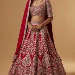 Red Zardosi Embroidered Lehenga Set