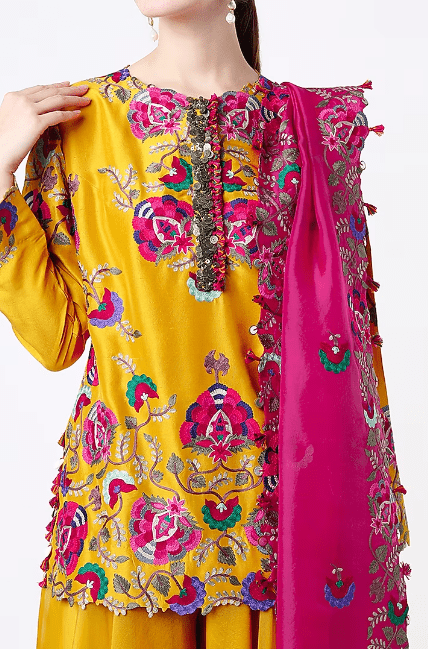 Mustard Organza Sharara Set - Image 2