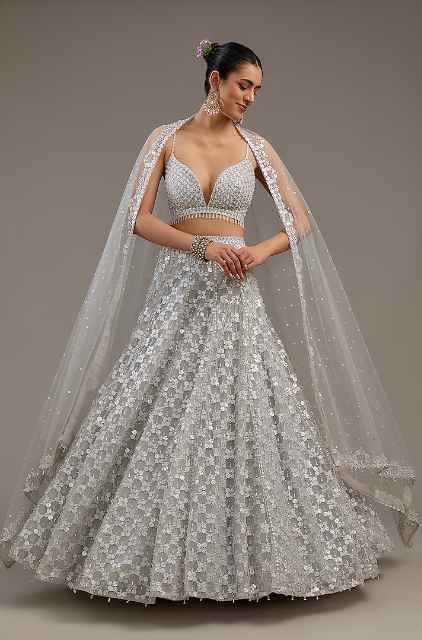Greyish Silver Net Hand Embroidered Lehenga Set
