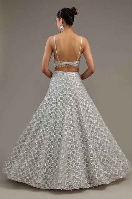 Greyish Silver Net Hand Embroidered Lehenga Set - Image 2