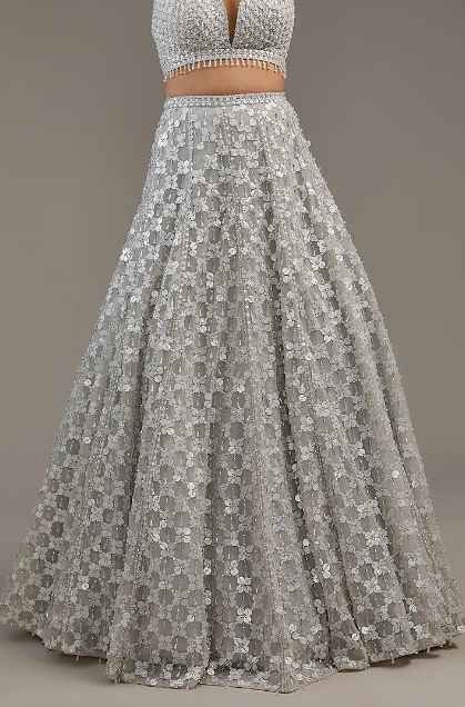 Greyish Silver Net Hand Embroidered Lehenga Set - Image 3