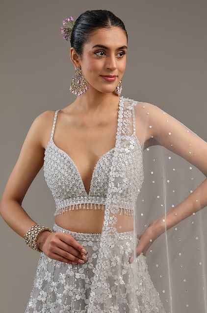 Greyish Silver Net Hand Embroidered Lehenga Set - Image 4