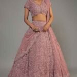 Blush Pink Organza Embroidered Lehenga Set