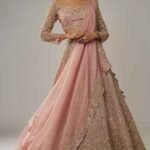 Champagne Organza Lehenga Set