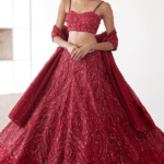 Red Organza Embroidered Lehenga Set