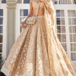 Blush Beige Net Lurex & Mirror Embroidered Lehenga Set