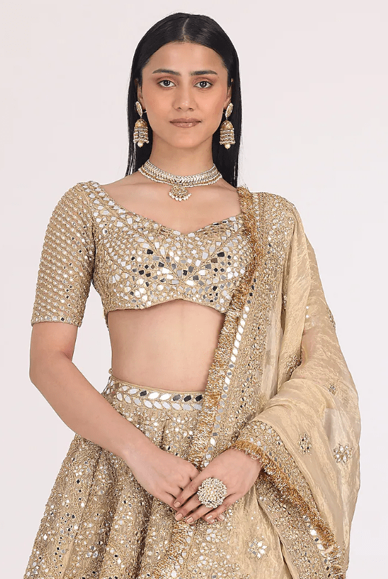 Golden & Beige Tissue Gota & Mirror Embellished Lehenga Set - Image 4