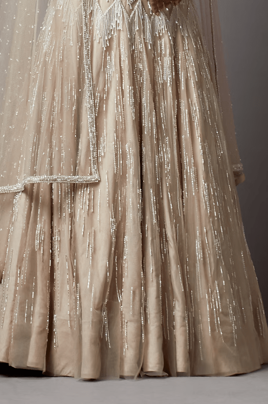 Greige Net Handwork Lehenga Set - Image 3