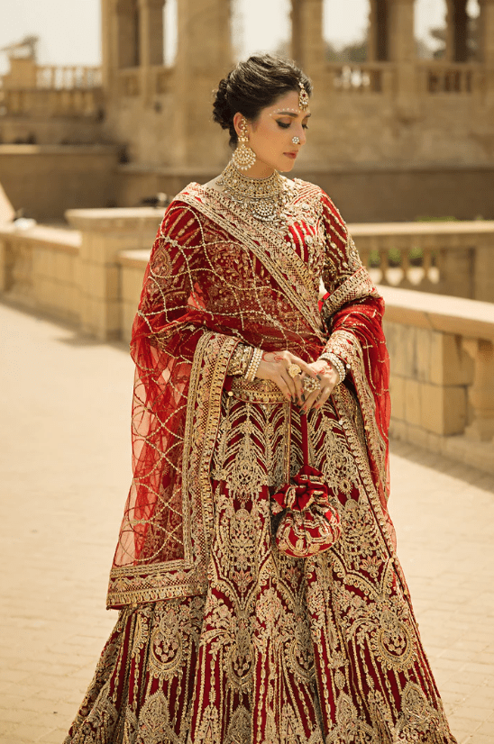 slim fit dress slacks Navy Blue and Red Pakistani Bridal Dress In Pishwas Lehnga Style main image 1
