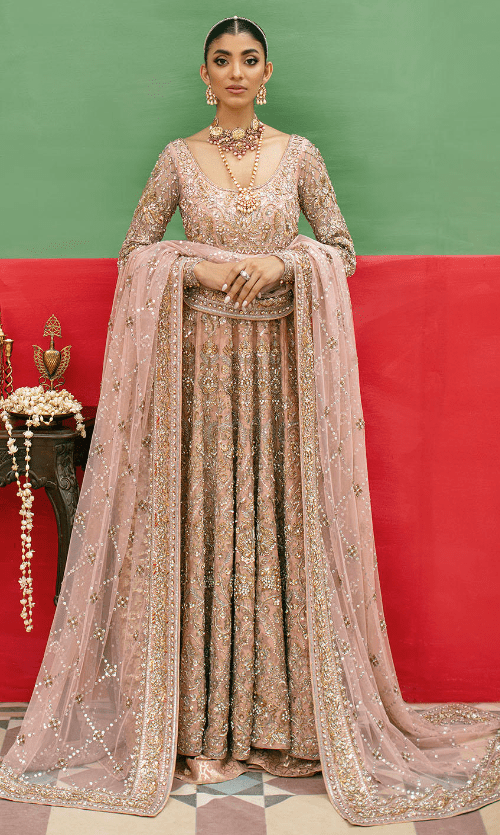 Soft Pink Pakistani Bridal Dress in Pishwas Frock Style – Lady Selection Inc