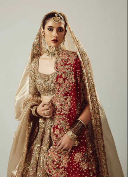 green emerald velvet dress Light Gold Embroidered Jacquard Silk Anarkali with Red Dupatta main image 1