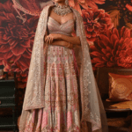 Aiyana Lehenga Set
