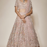 Peach Organza Hand Embroidered Lehenga Set