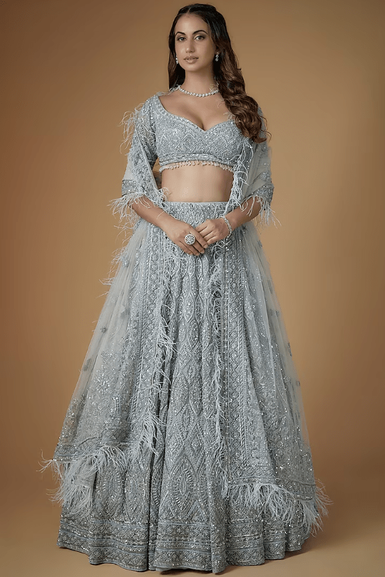 Grey Net Hand Embroidered Lehenga Set