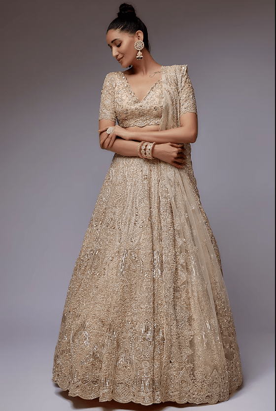 Beige Organza Hand Embroidered Lehenga Set