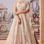 Pink Silk Organza Sequins & Pearl Embroidered Lehenga Set