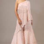Blush Pink Organza 3D Floral & Sequins Embroidered Sharara Set