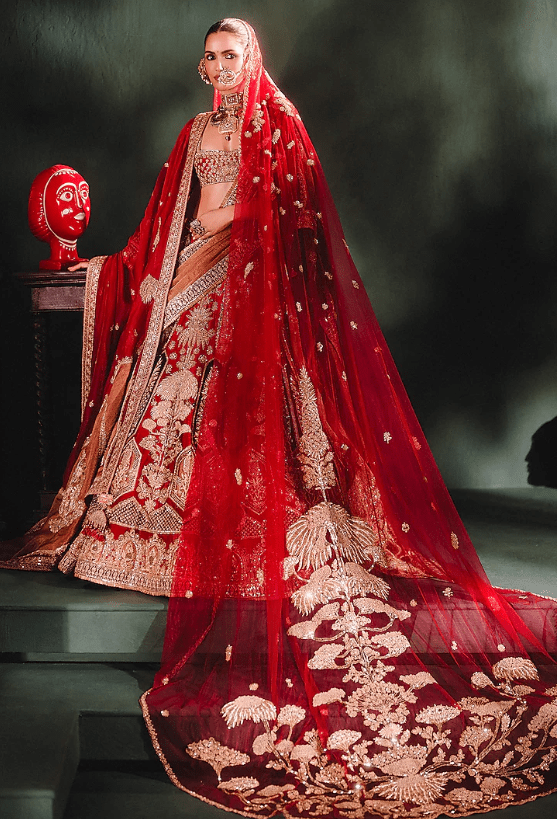 Cranberry Raw Silk & Georgette Tissue Embroidered Lehenga Set