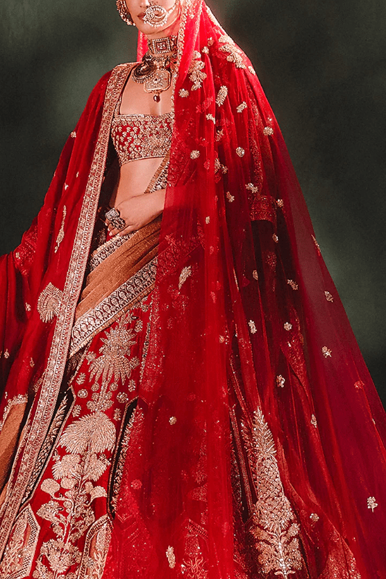 Cranberry Raw Silk & Georgette Tissue Embroidered Lehenga Set - Image 2