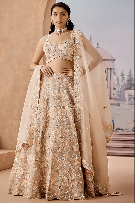 Peach Silk Organza Crystal Stone Embroidered Lehenga Set