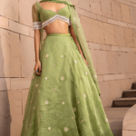 Sage Green Organza Pearl Embroidered Lehenga Set