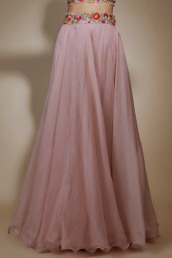 Pink Organza Thread Embroidered Skirt Set - Image 2
