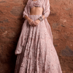 Blush Pink Organza & Tissue Floral Embroidered Lehenga Set