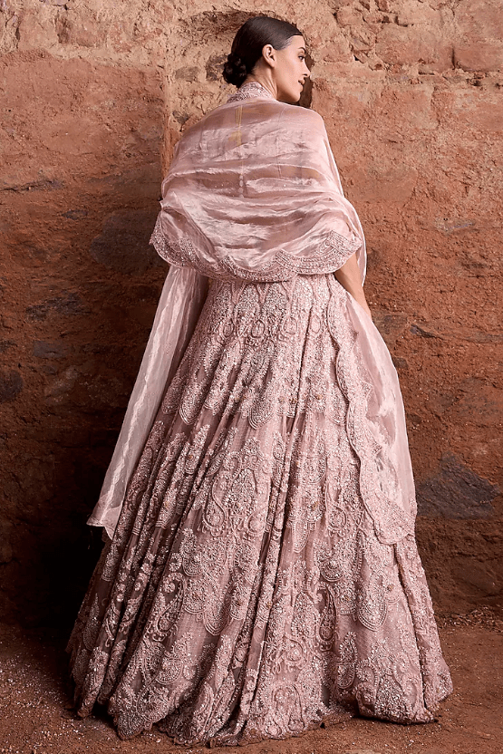 Blush Pink Organza & Tissue Floral Embroidered Lehenga Set - Image 2