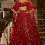 Red Net Crystal Embroidered Lehenga Set