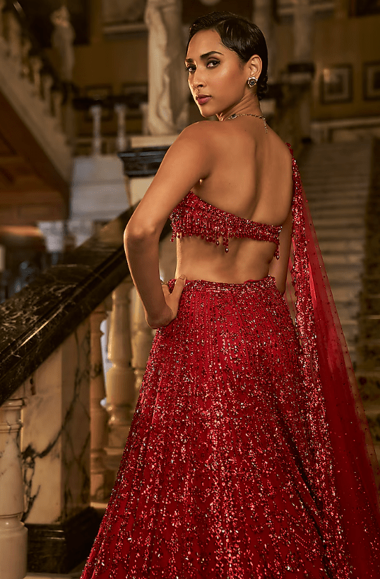 Red Net Crystal Embroidered Lehenga Set - Image 2
