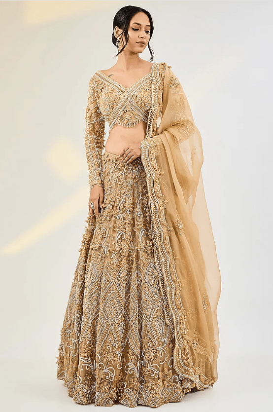 Golden Net & Organza Hand Embroidered Lehenga Set