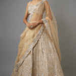 Champagne Organza Lehenga Set